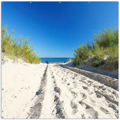 Produktbild von Wallario XXL Outdoor-Poster für Garten oder Balkon, Motiv Auf dem Sandweg zum Strand - Blauer Himmel über dem Meer, in ca. 200 x 200 cm