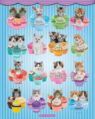 Produktbild von Kimberlin, Keith - Mini-Poster - Kittens Cupcakes