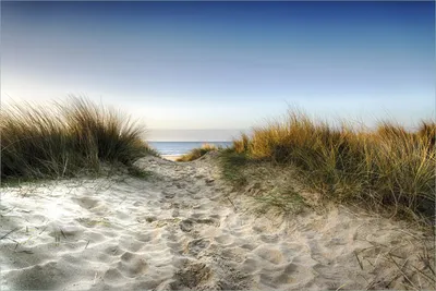 Produktbild von Wallario selbstklebendes Poster - Weg durch die Dünen zum Strand am Meer, Größe: 61 x 91,50 cm