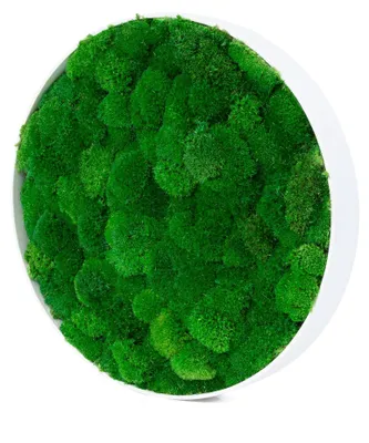 Produktbild von Rundes Moosbild Wave Design (⌀40 cm, weiß)