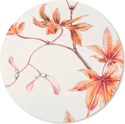 Produktbild von MuchoWow® Mauspad Mousepad Japan - Ahorn - Herbst - Vintage 20x20 cm - Mousepads - Maus Mat - Pad - Mausunterlage - Schreibtischmatte