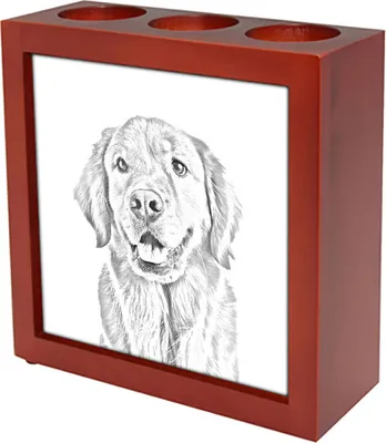 Produktbild von Art-Dog Stifthalter Golden Retriever