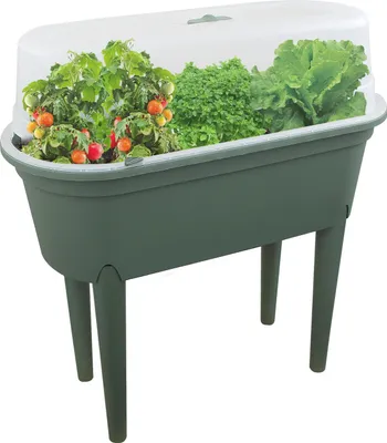 Produktbild von Growbox auf Beinen – Grün – 77 x 40 x 83 cm