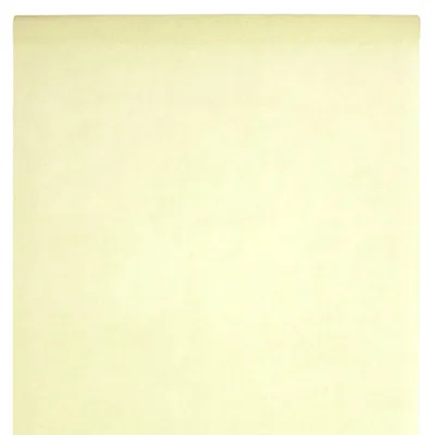 Produktbild von VLIES- ROLLE Uni ( Dekorolle z.B.Tischdecke) 120cm/10m ELFENBEIN