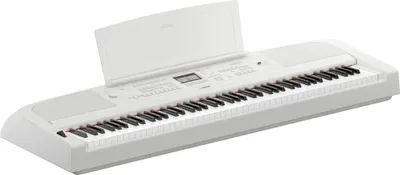 Image de Yamaha DGX-670WH