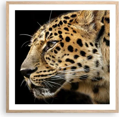 Produktbild von Gerahmtes Poster - Rahmen in heller Eiche - Tiere Leopard wilde Katze wilde Tiere - 60x60 cm - Wand Bild - Wanddeko - Wandbilder - Wandposter - Bilderrahmen - Bilder - Kunstdruck - P2NAC60x60-0433