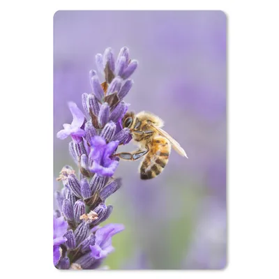Produktbild von MuchoWow® Mauspad Mousepad Biene auf Lavendel 18x27 cm - Mousepads - Maus Mat - Pad - Mausunterlage