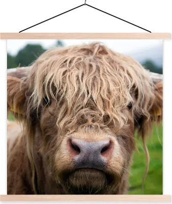 Produktbild von MuchoWow® Textilposter Schottische Hochlandrind-Kuh - Landschaft - Nahaufnahme 40x40 cm mit holzfarbenen Rahmen - Posterleiste