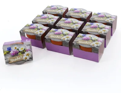 Immagine prodotto di Solidchoice - Set di 10 mini piante con semi e vasi, "Grazie"