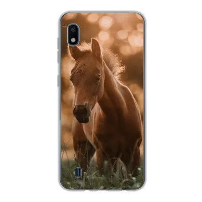 Produktbild von MuchoWow® Handyhülle Schutzhülle Hülle für Samsung Galaxy A10 Pferd - Licht - Landschaft Silikon Softcase Handy Hülle - Schutzhülle