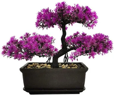 Immagine prodotto di Bonsai artificiale (grande, verde)