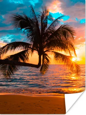 Produktbild von MuchoWow® Poster Palme - Sonnenuntergang - Horizont - Strand - Meer - Tropisch 30x40 cm - Wandplakat - Poster Kinderzimmer