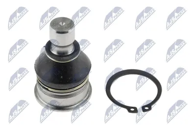 Produktbild von NTY Traggelenk Vorne Unten für NISSAN JUKE (F15) ZSD-NS-030
