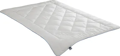 Produktbild von Steppbett Irisette Lyocell Mono Größe 135 x 200 cm