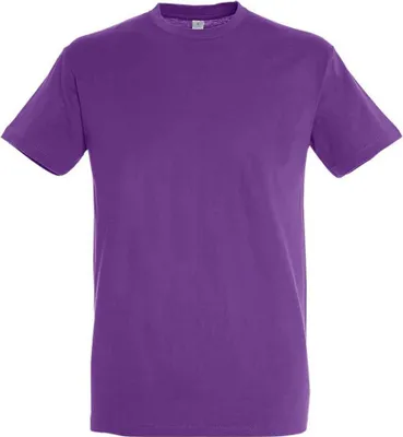 Produktbild von SOLS - "Regent" T-Shirt für Herren/Damen Uni LT2888 (S) (Hell-Lila)