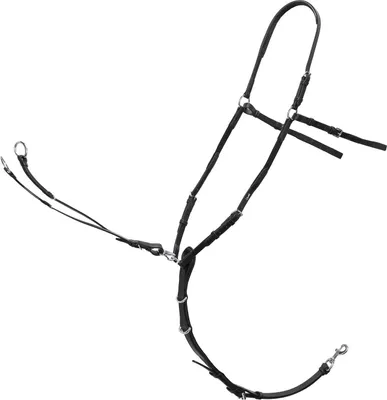 Produktbild von Schockemöhle Vorderzeug Como, Farbe:black/silver, Größe:Warmblut