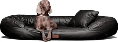 Productafbeelding van Orthopedisch hondenbed LENNART VISCO PLUS, kunstleer - Afmetingen: 100x85 cm | Kleur: 03 Zwart