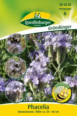 Produktbild von Phacelia - Bienenfreund (50 g) | Gründünger von Quedlinburger