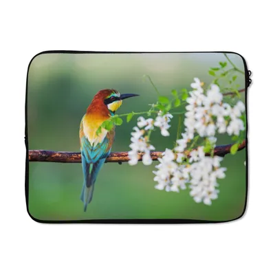 Produktbild von MuchoWow® Laptop Hülle 15 Zoll Vogel - Bienenfresser - Blumen Laptoptasche - Laptoptasche - Sleeve - Rundum-Schutz