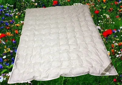 Produktbild von Betten Hofmann Sommerdecke Daunendecke Punktstepp 155x220 cm 100% Daunen superleicht