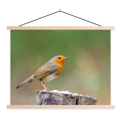 Produktbild von MuchoWow® Textilposter Tiere - Vogel - Rotkehlchen 60x45 cm mit holzfarbenen Rahmen - Bild