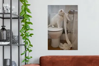 Produktbild von MuchoWow® - Leinwandbilder - Katze spielt mit Toilettenpapier, Wandbild, Wanddeko Bilder Wohnzimmer, 40x60 cm