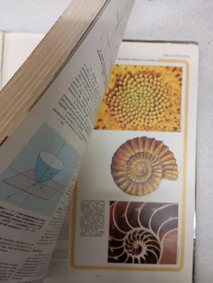 Image de Les Mathématiques