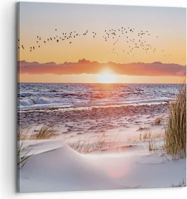 Produktbild von Bild auf Leinwand - Leinwandbild - Einteilig - Sonne Strand Vögel - 60x60cm - Wand Bild - Wanddeko - Wandbilder - Leinwanddruck - Bilder - Wanddekoration - Leinwand bilder - Wandbild - AC60x60-4727