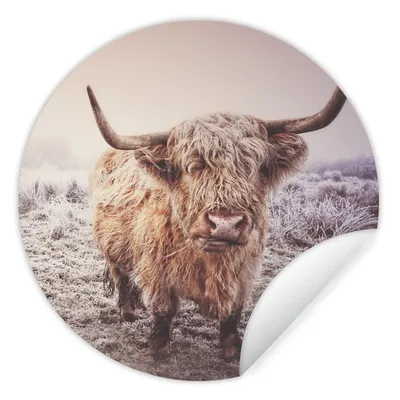 Produktbild von MuchoWow® Runde Wandtattoo - Wandsticker Tapete Aufkleber Schottische Highlander - Schnee - Sonne Ø 50 cm Selbstklebend und Repositionierbar - Wandaufkleber - Kreis - Wand Kreis - Wand Bild - Foto Tapete - Selbstklebende - Wohnzimmerdekoration - Wand Dekoration - Kinderzimmer