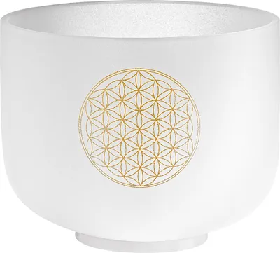 Produktbild von MEINL CSB8FOL Sonic Energy