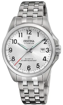 Obrázok produktu pre Hodinky Festina F20696-1 strieborné
