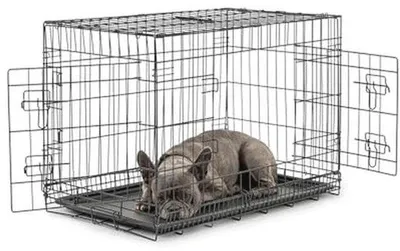 Produktbild von Famanu Hundekäfig 76x49x56 cm - Hundehütte für Zuhause und Reisen