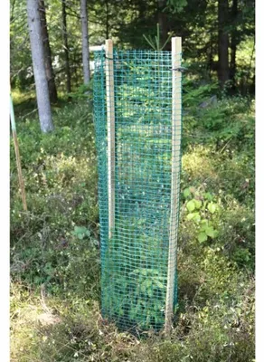 Produktbild von 25 x Baumschutzhülle, Freiwuchs 500 - Höhe 120 cm, Ø ca. 29-30 cm, Verbissschutz