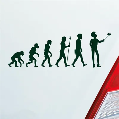 Produktbild von Auto Aufkleber Evolution Selfie Stick Handy Entwicklung Darwin 19x6,7 cm Dunkelgrün Sticker Heckscheibenaufkleber