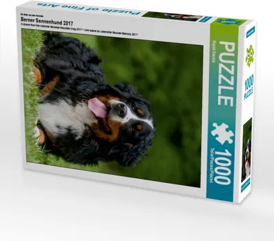 Produktbild von Calvendo Ein Motiv aus dem Kalender Berner Sennenhund 2017 1000 Teile Puzzle hoch 480x640mm, Starick Sigrid; 7355292