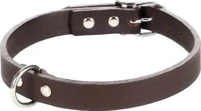Produktbild von Flamingo Seattle Halsband dunkelbraun, Maße: 31-36 cm / 16 mm
