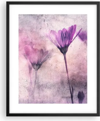 Produktbild von Gerahmtes Poster - Schwarzer Rahmen - Blumen Rosa Vintage - 40x50 cm - Wand Bild - Wanddeko - Wandbilder - Kunstposter - Wandposter - Bilderrahmen - Bilder - Kunstdruck - P2BPA40x50-4432