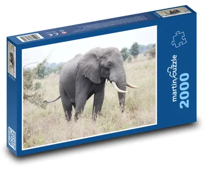Zdjęcie produktu dla martinpuzzle - Puzzle 2000 - Afryka - słoń