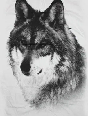 Produktbild von Lady Tank Top - Wolf weiß