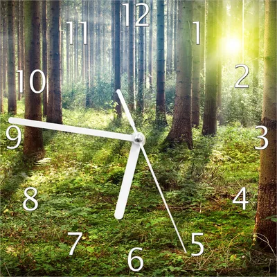 Produktbild von Wallario Design Wanduhr Sonnenuntergang im Wald zwischen den Bäumen aus Echtglas, Größe 20 x 20 cm