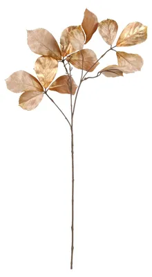 Obrázek produktu pro Dekorativní větvička Parthenocissus - světle hnědá - 80 cm