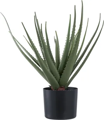 Image de Plante artificielle d'aloe vera vert 51 cm