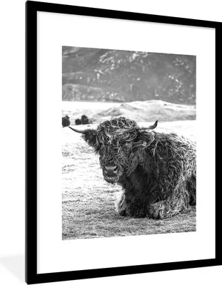Produktbild von MuchoWow® Gerahmtes Poster Schottischer Highlander - Berg - Tiere 60x80 cm - Poster mit Schwarzem Bilderrahmen Wandposter Rahmen Foto Bilder - Wohnzimmer - Dekorationen - Prämie