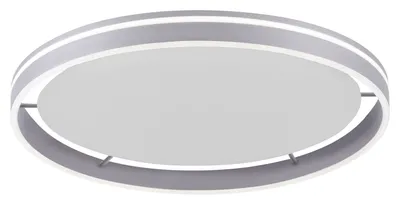 Image de Paul Neuhaus 8416-55 Paul Neuhaus Q-VITO Smart Home Deckenleuchte silber 39 W