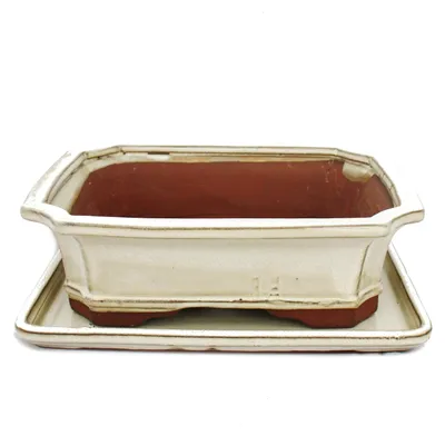Obrázek produktu pro miska na bonsaje s podšálkem, velikost 4 – obdélníková, g4 – světle béžová – délka 26 cm – šířka 20 cm – výška 8 cm