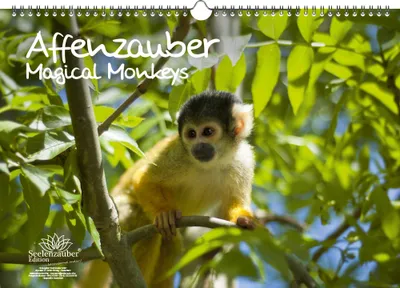 Produktbild von Affenzauber DIN A3 Kalender - Immerwährender Kalender Affen und Affenbabys - Seelenzauber