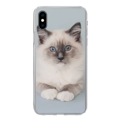 Produktbild von MuchoWow® Handyhülle Schutzhülle Hülle für iPhone Xs Katze - Ragdoll Katze - Blau - Mädchen - Kinder - Jungen - Kind Silikon Softcase Handy Hülle - Handytasche