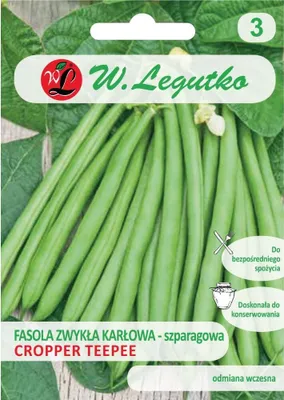 Zdjęcie produktu dla Nasiona Fasola zwykła Cropper Teepee 40g - W.Legutko