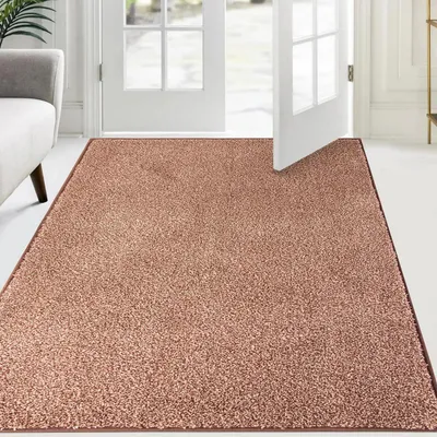 Obrázek produktu pro Podlahová rohož do interiéru, 137 x 210 cm, obdélníková, hnědá, zachycující nečistoty, mikrovlákno, protiskluzová