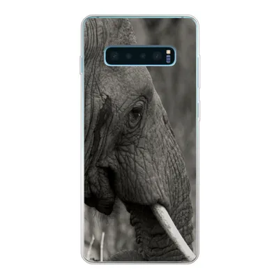 Produktbild von MuchoWow® Handyhülle Schutzhülle Hülle für Samsung Galaxy S10 Plus Elefant - Tiere - Schwarz - Weiß Silikon Softcase Handy Hülle - Schutzhülle